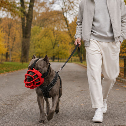Soft Silicone Basket Dog Muzzle with Adjustable Straps for Small, Medium and Large Dogs