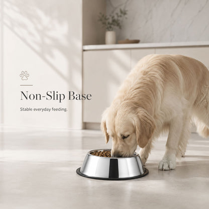 Stainless Steel Pet Bowl with Non-Slip Base | Silver Dog & Cat Food Bowl for Water and Feeding
