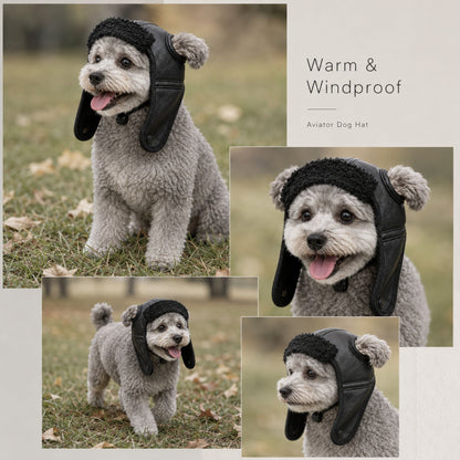 Warm Aviator Dog Hat with Ear Coverage and Adjustable Chin Cord