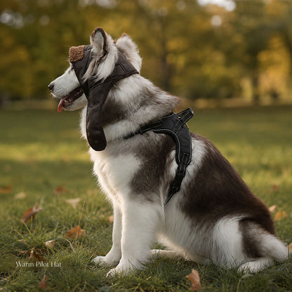Warm Aviator Dog Hat with Ear Coverage and Adjustable Chin Cord